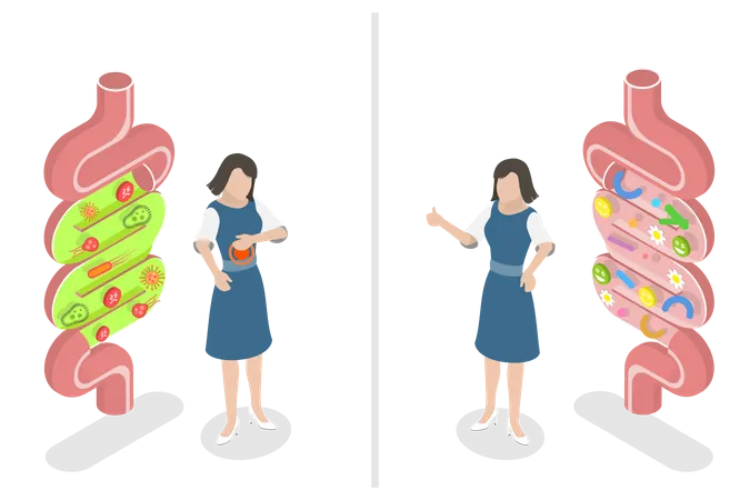 3 D Isometric Flat Vector Conceptual Illustration Of Good And Bad Gut Bacterias Gut Flora Digestive Tract Microorganisms Illustration