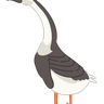 goose illustration svg
