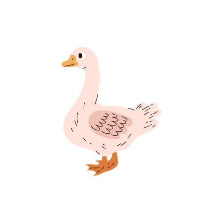 Goose domestic raising at poultry farm bird  Illustration