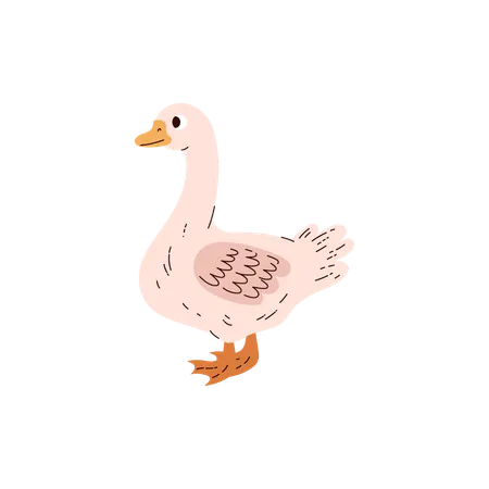 Goose domestic raising at poultry farm bird  Illustration