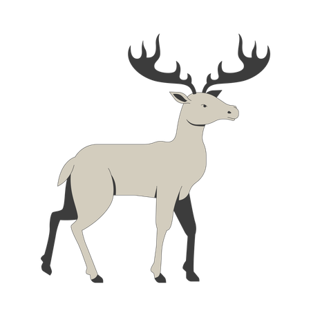 Gorgeous moose with branched antlers  Illustration