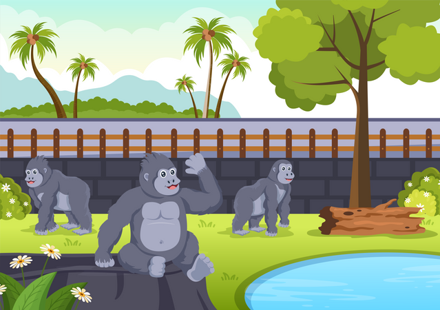 Gorillas in zoo Illustration