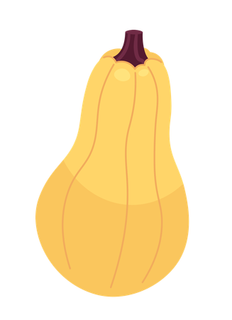 Gourd fall plant  Illustration