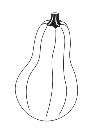 Gourd fall plant  イラスト