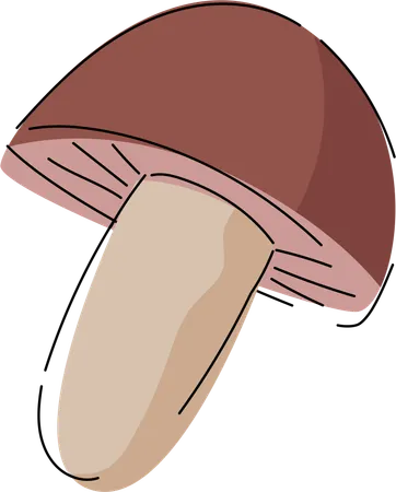 This Illustration Depicts A Beautifully Rendered Shiitake Mushroom With Its Distinctive Brown Cap And Cream Stalk Perfect For Use In Culinary Guides Food Blogs Or Any Educational Material Related To Fungi Or Gourmet Cooking Illustration
