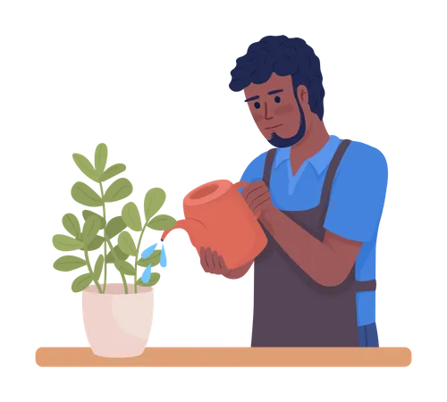 Governanta masculina regando plantas de interior regularmente  Ilustração