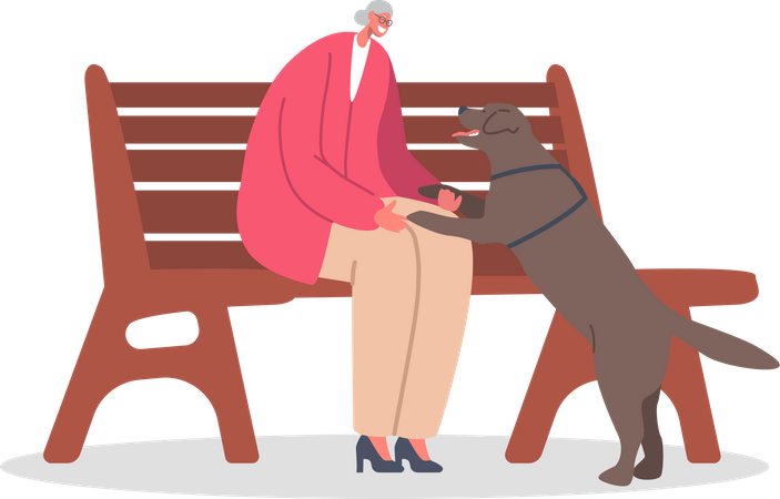 Grandmother playing with pet dog in park  Illustration