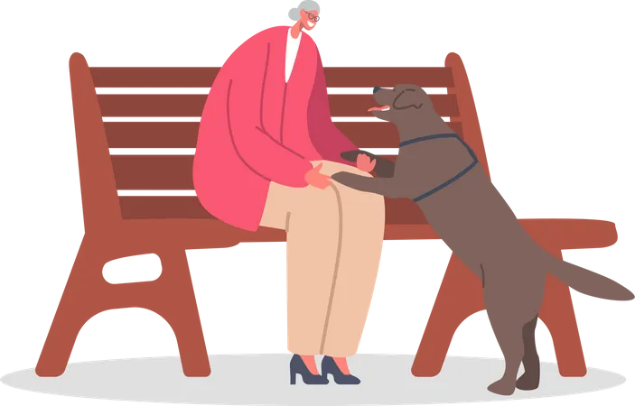 Grandmother playing with pet dog in park  Illustration
