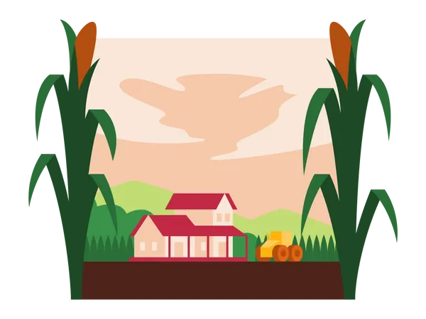 Granja  Ilustración