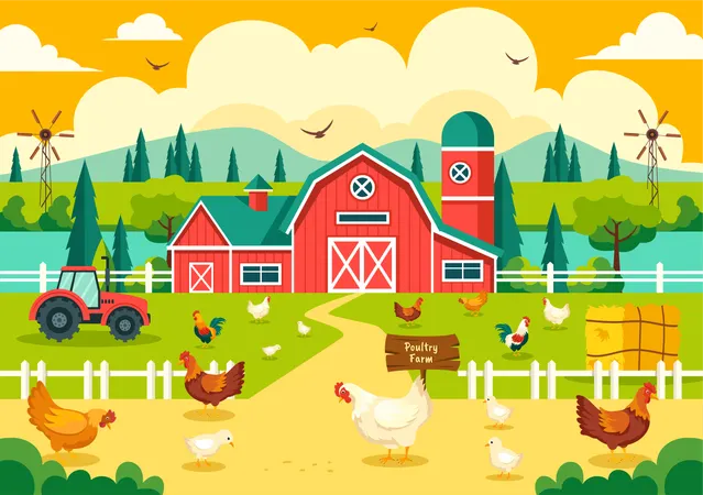 Granja avícola  Ilustración
