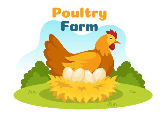 Granja de pollos  Ilustración