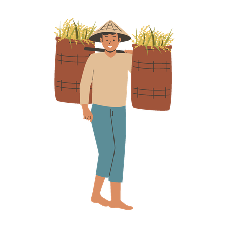 Granjero asiático trae arroz cosechado  Ilustración