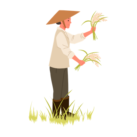 Granjero cosechando cultivos  Ilustración