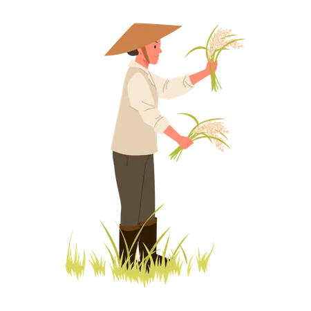 Granjero cosechando cultivos  Ilustración