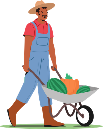 Granjero cosechando frutas maduras  Ilustración