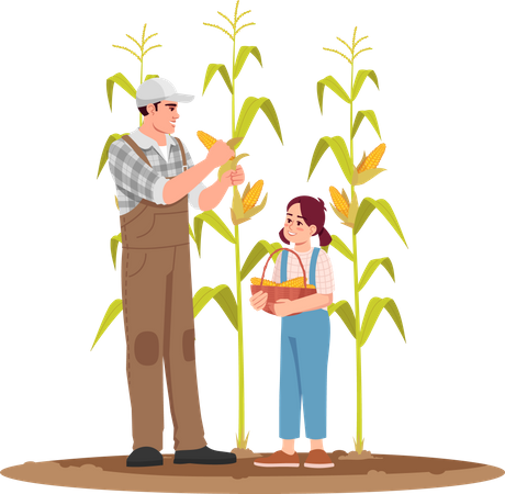Agricultor cosechando maíz con su hija  Ilustración