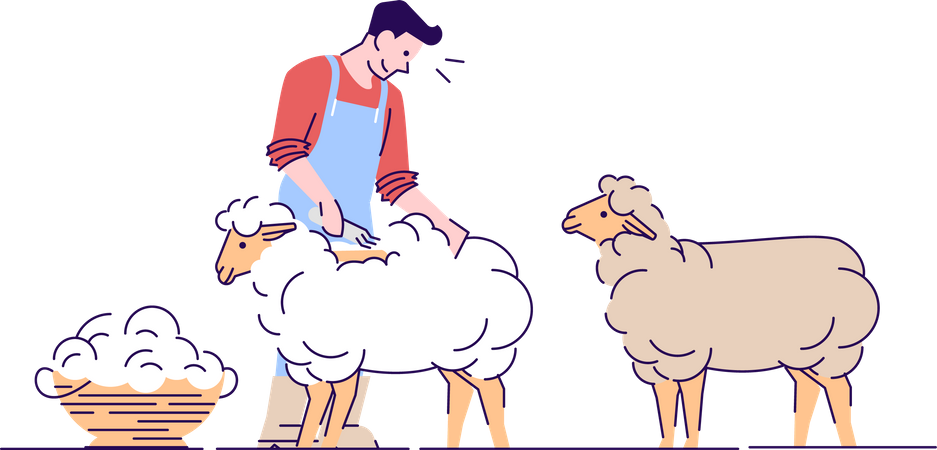 Granjero macho esquilando ovejas  Ilustración