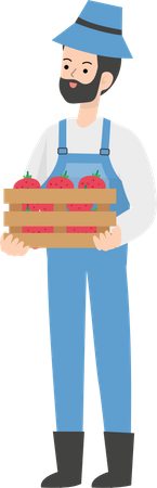 Granjero, tenencia, cesta de fruta  Ilustración
