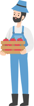 Granjero, tenencia, cesta de fruta  Ilustración