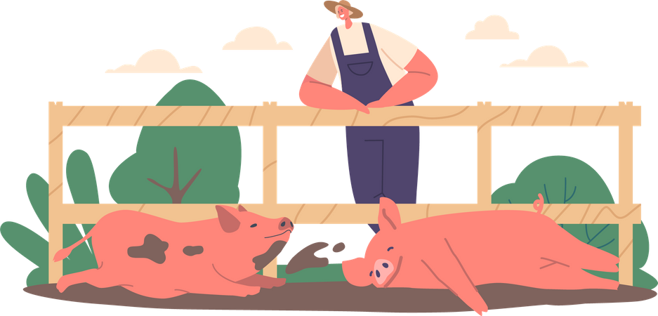 Agricultor de pie en la valla observando cerdos revolcándose en el barro  Ilustración