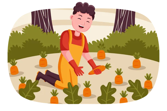 Agricultor recogiendo zanahorias  Ilustración