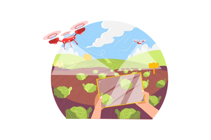 Un Dron Agricola Panoramico Vuela Hacia El Fertilizante Rociado En El Campo De Repollo Ilustración