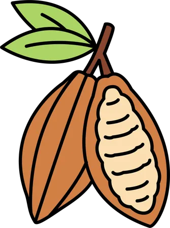 Granos de cacao  Ilustración