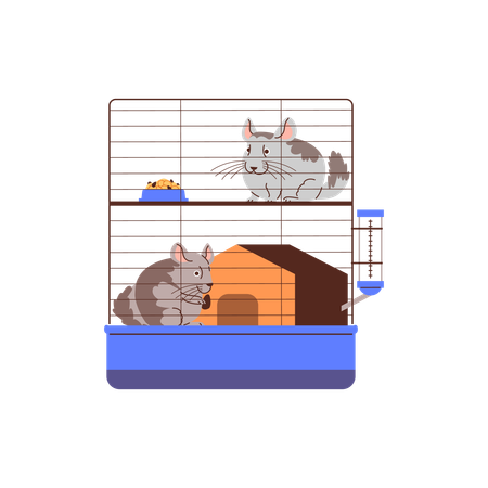 Gray chinchillas with cute ears  Illustration