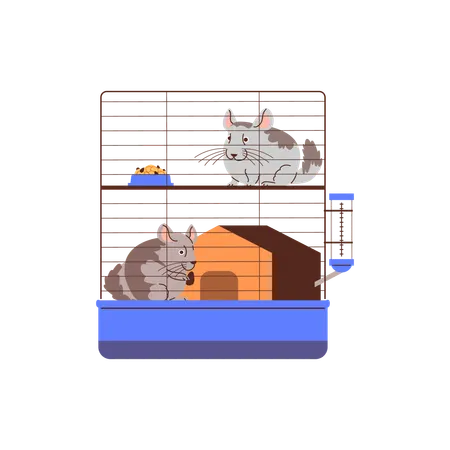 Gray chinchillas with cute ears  Illustration