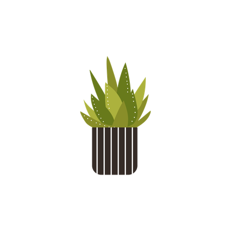 Green Aloe plant in striped pot  Illustration