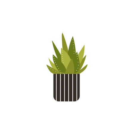 Green Aloe plant in striped pot  Illustration