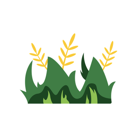 Green Grass  Illustration