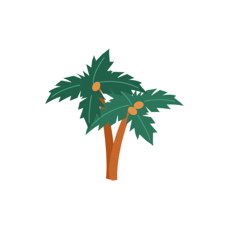 Green palm tree with coconuts  Illustration