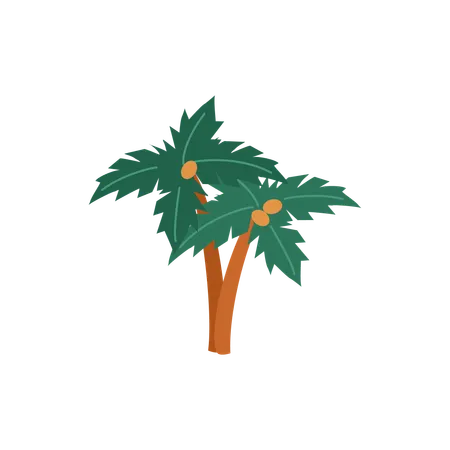 Green palm tree with coconuts  Illustration