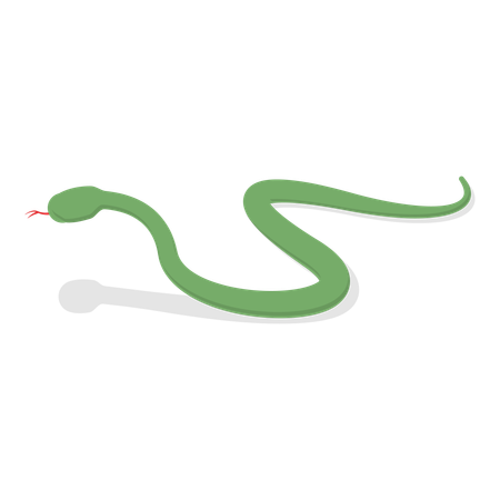 Green snake  Illustration