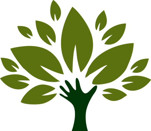Green Tree with Roots Illustration