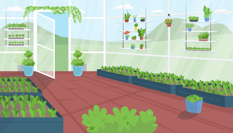 Greenhouse Illustration
