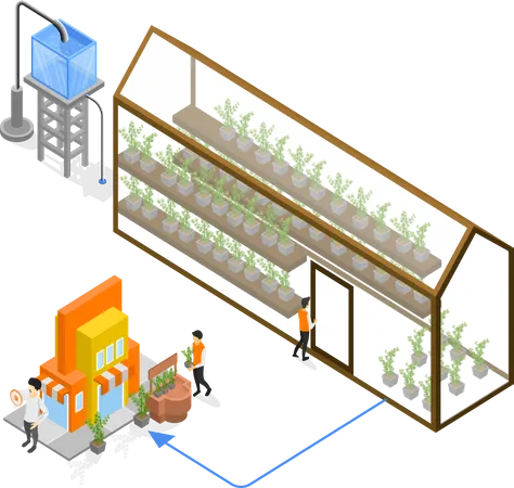 Isometric Style Illustration Of Greenhouse Farming Illustration