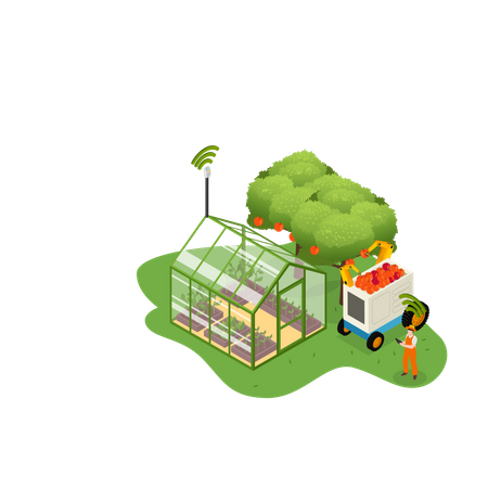 Greenhouse farming method  Illustration