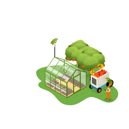 Greenhouse farming method  Illustration