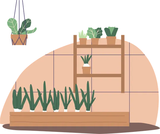 Greenhouse for cultivating  Illustration