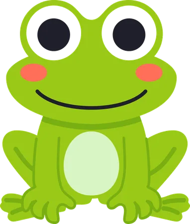 Grenouille  Illustration