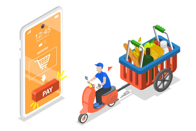 Grocery Delivery  Illustration
