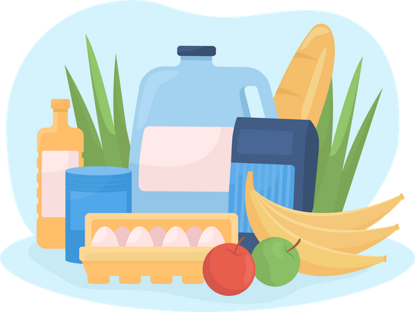 Grocery food  Illustration