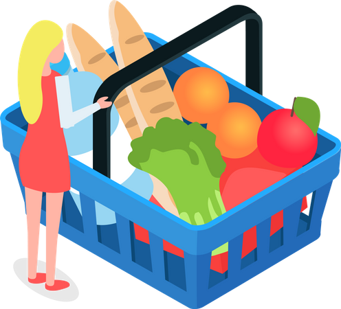 Grocery shopping cart  Illustration
