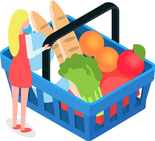 Grocery shopping cart  Illustration