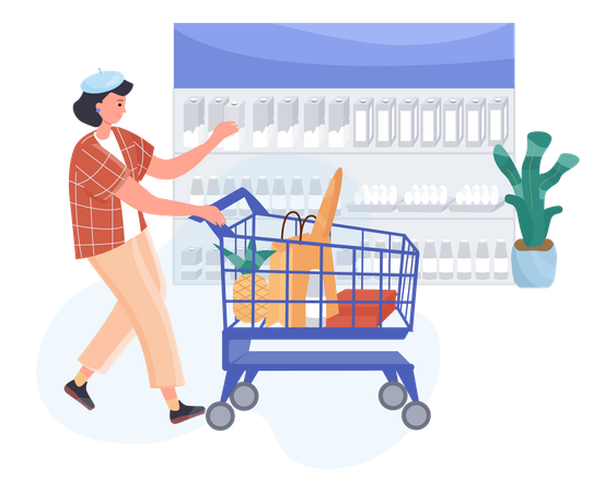 Grocery Shopping  Illustration