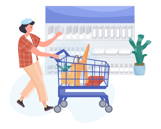 Grocery Shopping  Illustration