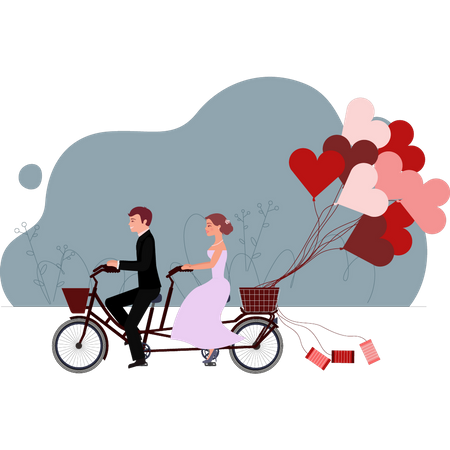 Groom and bride riding cycle Illustration