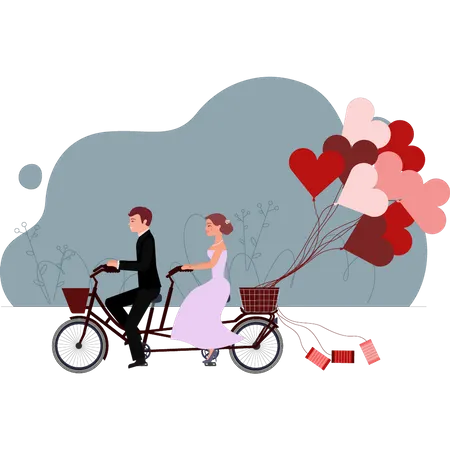 Groom and bride riding cycle  Illustration